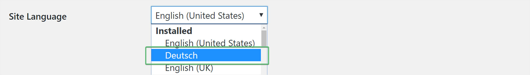 Translation Basics Settings