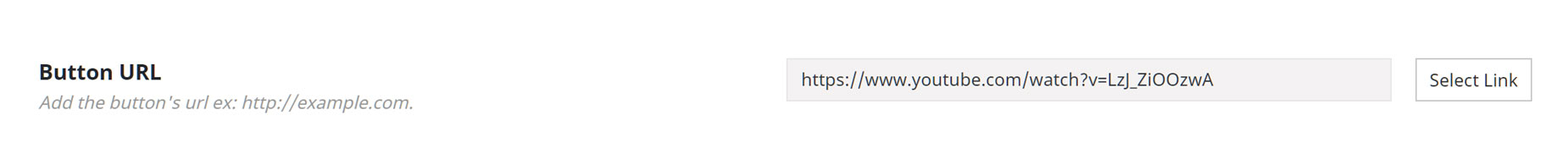 Button Element > Button URL option