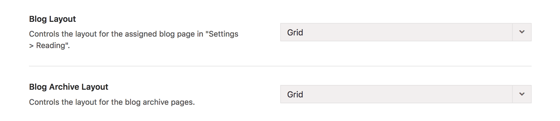 Theme Options Blog Layout Options 2