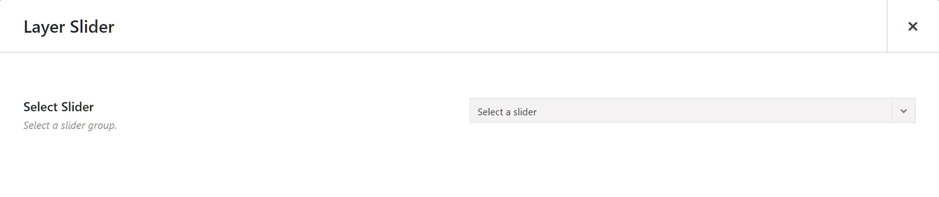 Layer Slider Element Options