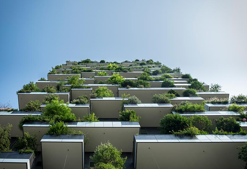 Urban Oasis