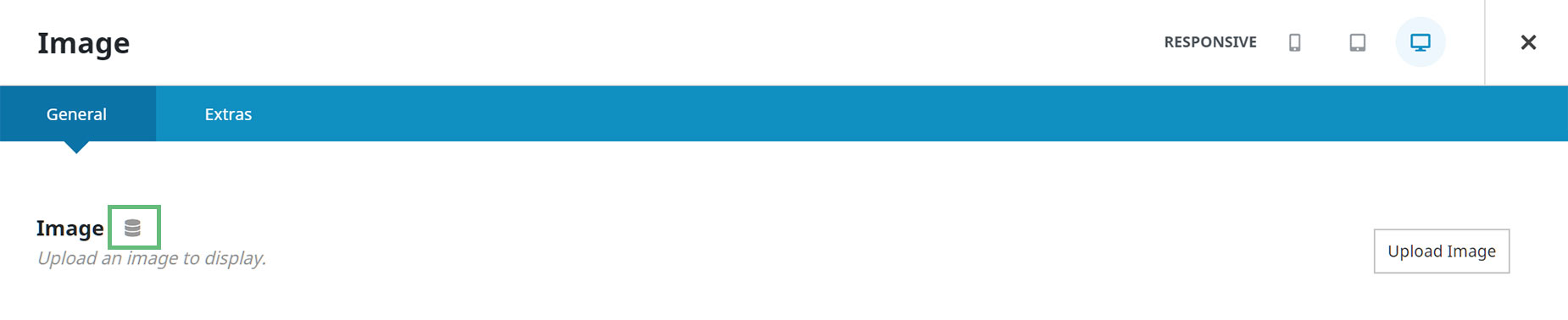 Image Element > Image Option