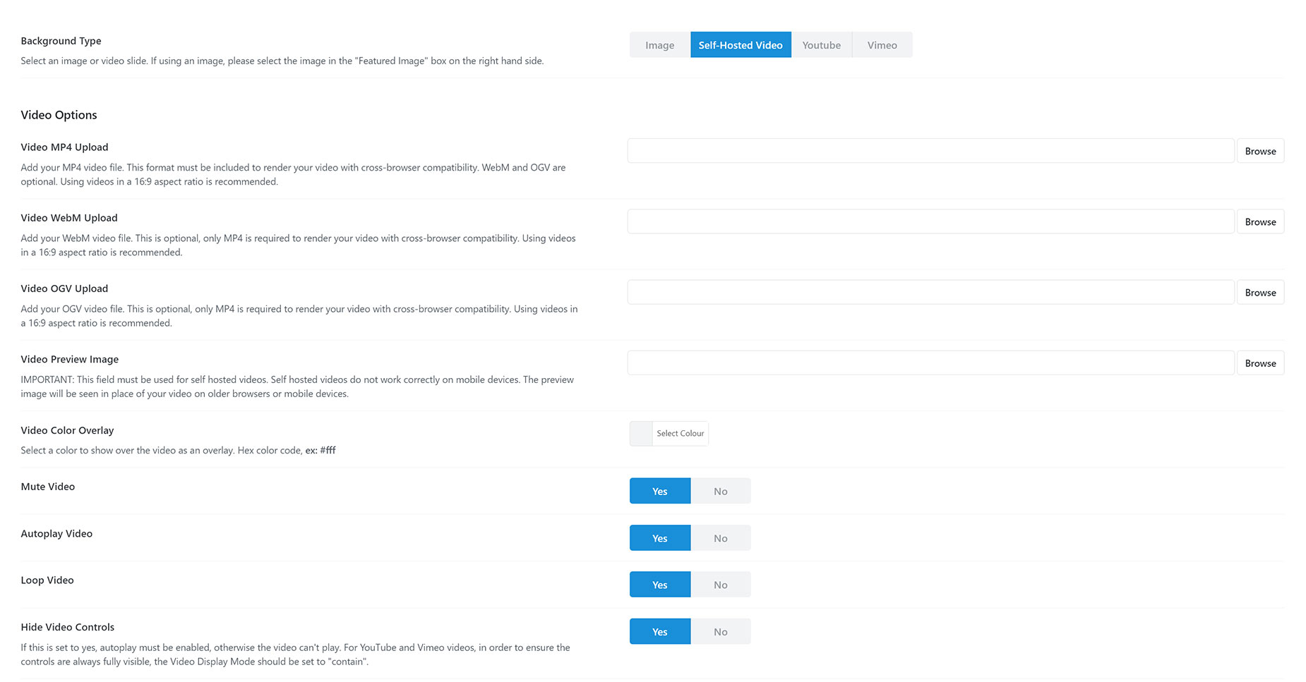 Avada Slide Self Hosted Video Options
