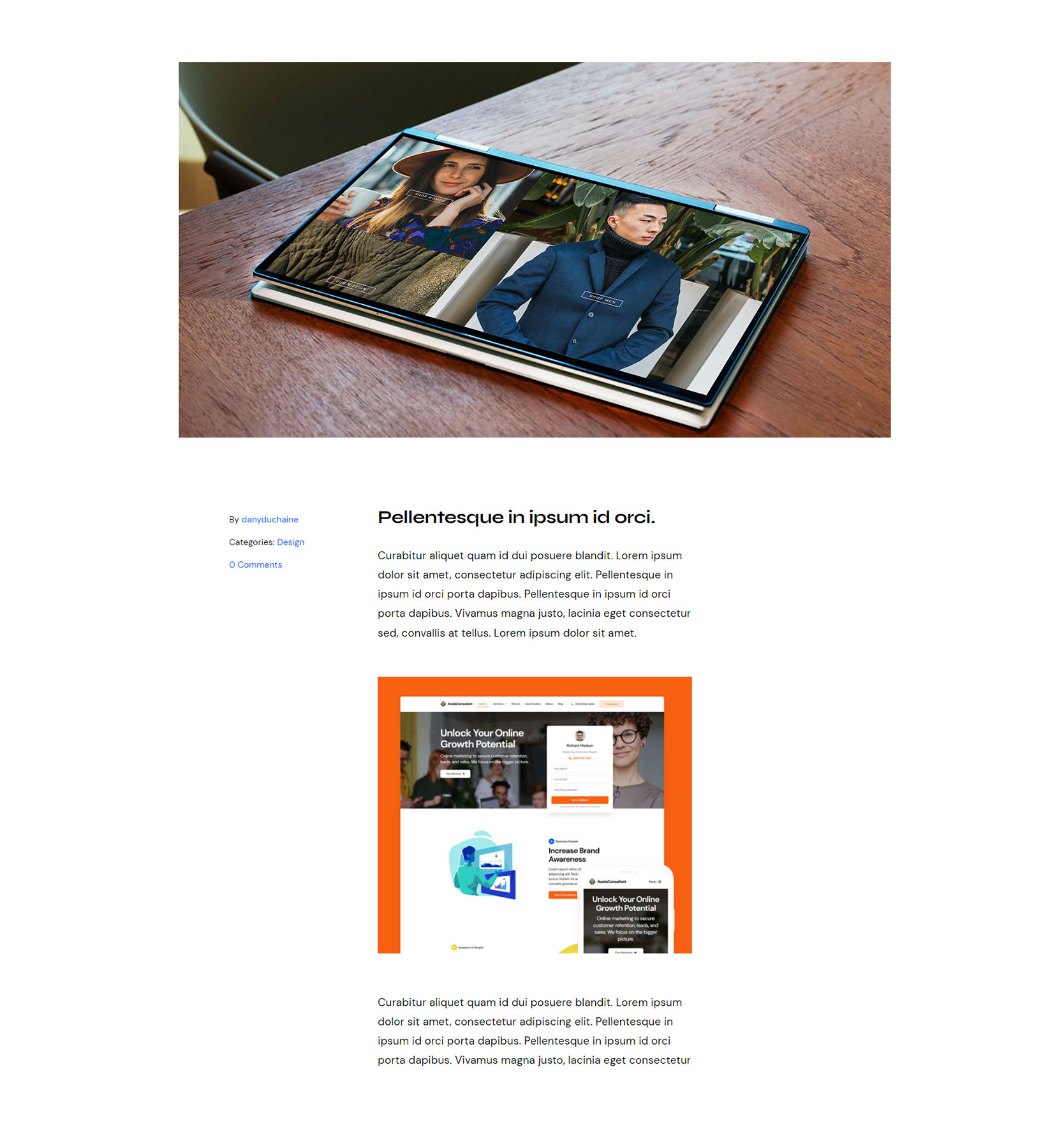 Avada Post Meta Element Mockup