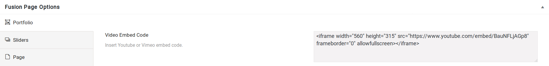 Page Options Portfolio Video Embed Code Option