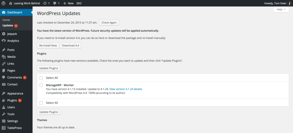 WordPress Updates Screen WordPress Updates Screen