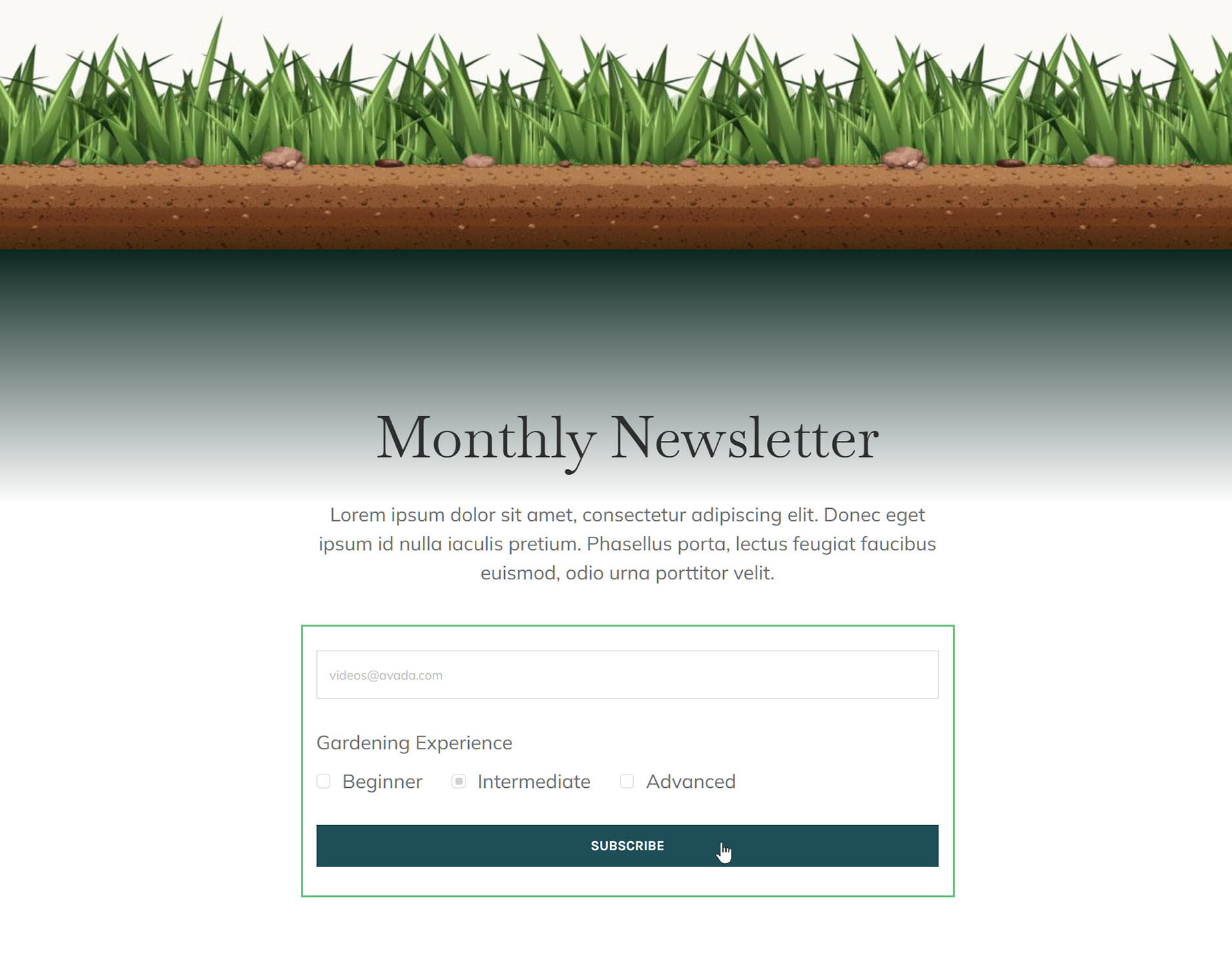 Group Form On Front End