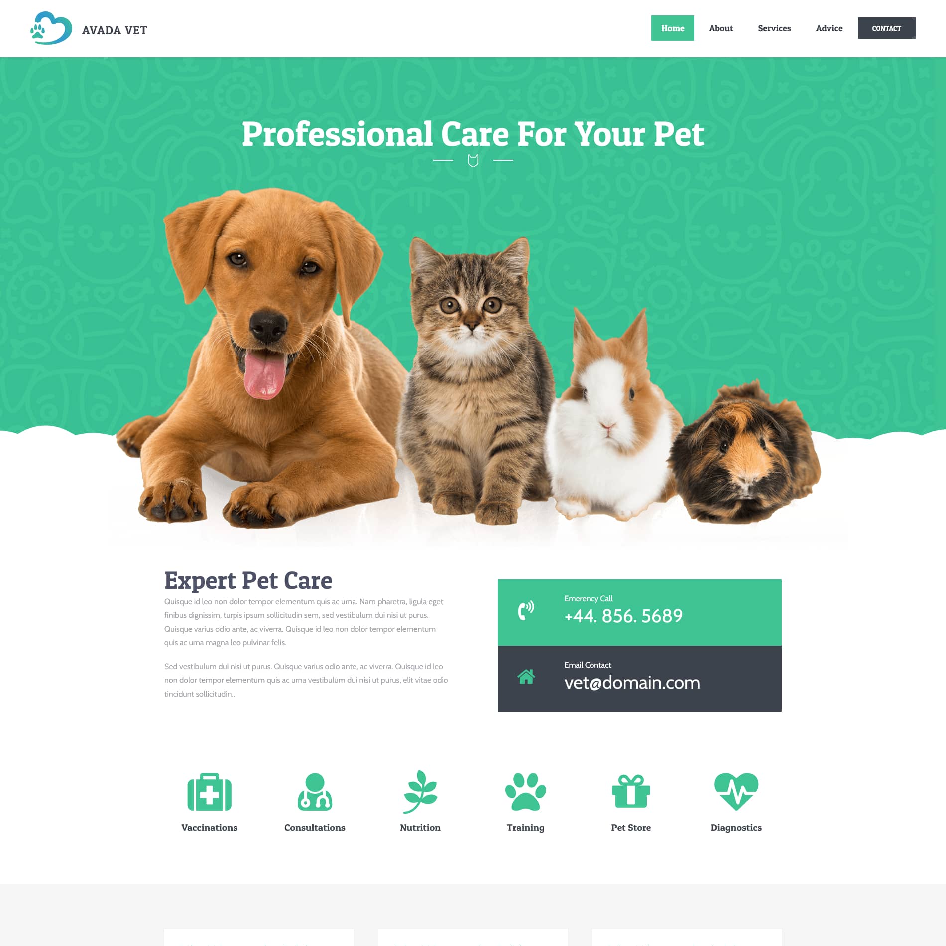 Avada Veterinarian Post Image Avada Veterinarian