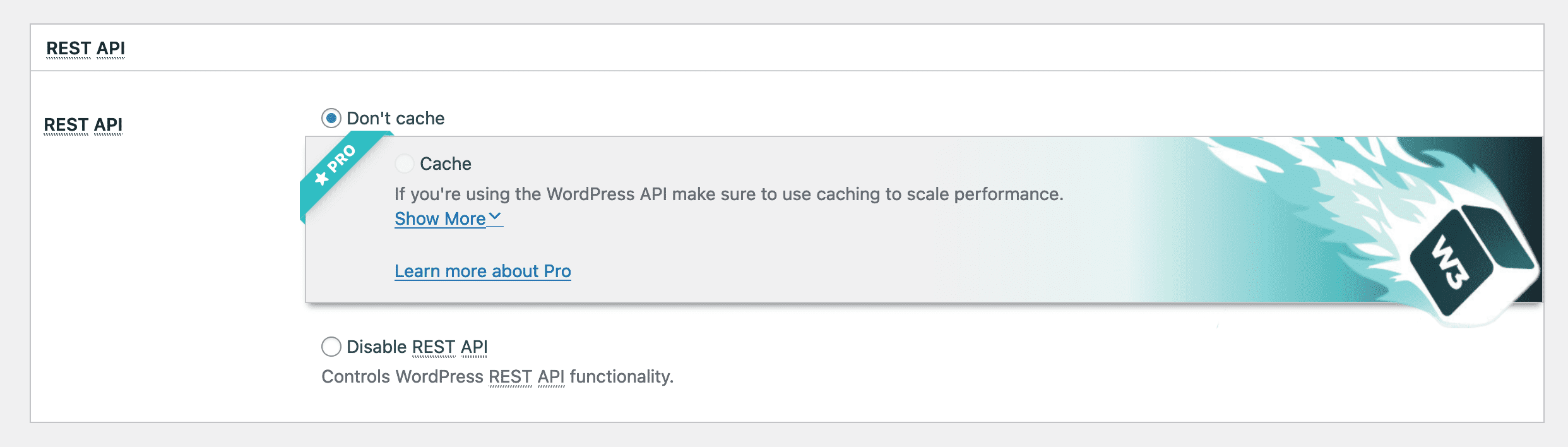WordPress Rest API