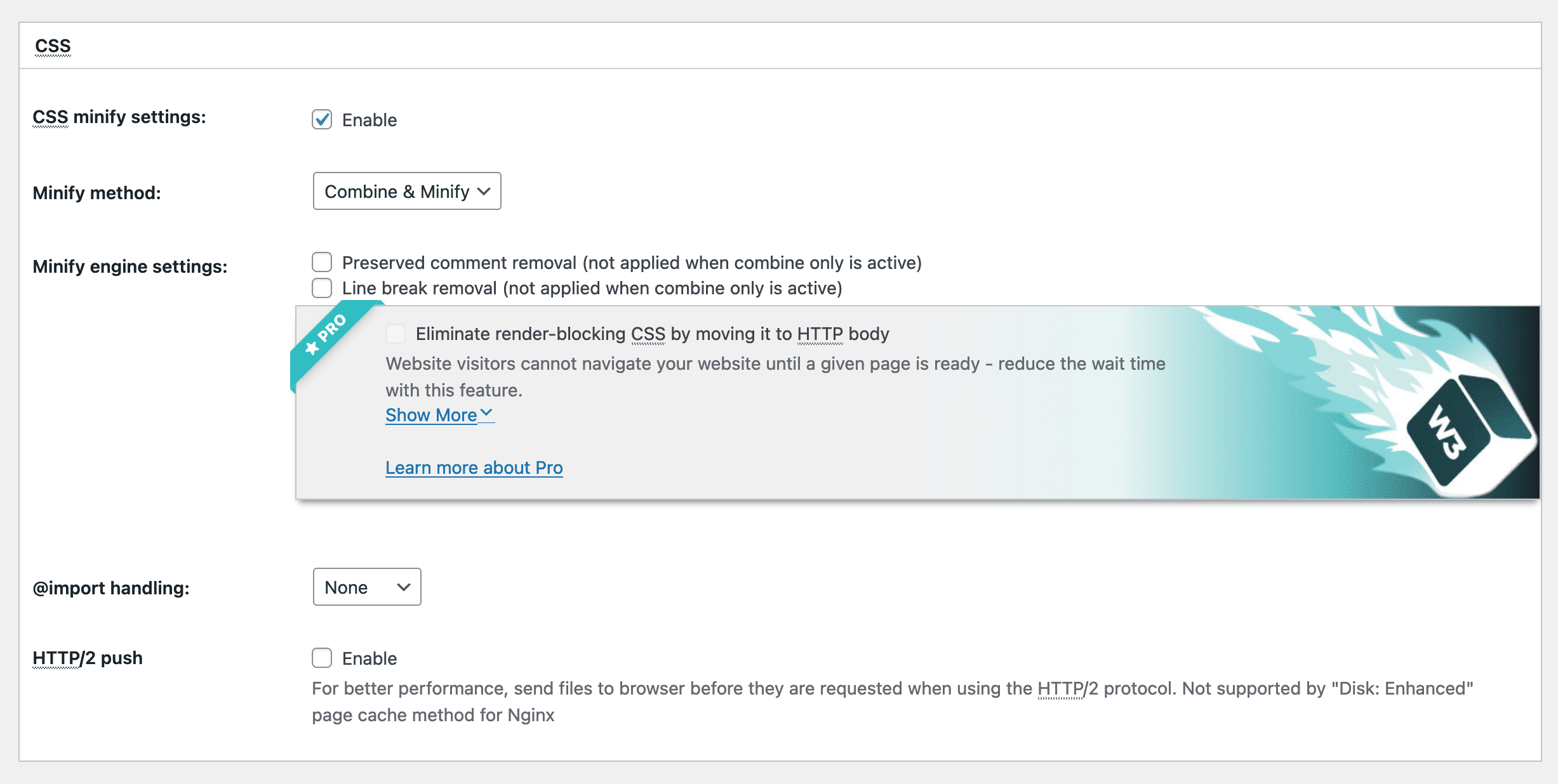 CSS Minify Settings
